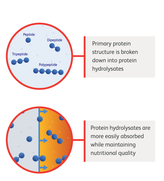 Diagram_With Hydolosis