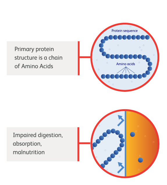 Diagram_WithoutHydrolosis