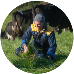 About-336px_Sustainability