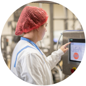 Cheese Innovation Research-03