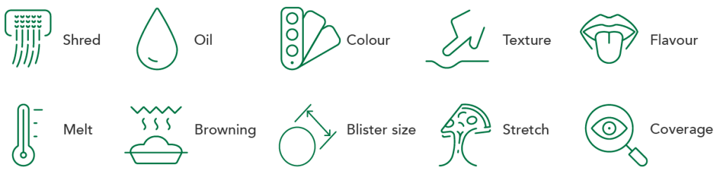 Mozarella_Testing Program