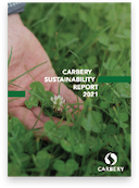 Sustainability Report Cover