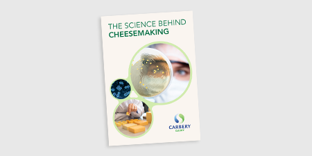 The Science Behind Cheesemaking cover image