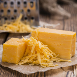 Cheese