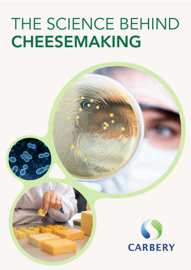 Science Behind Cheese Making