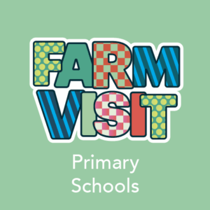 79.8.25 Farm Visit Primary Download
